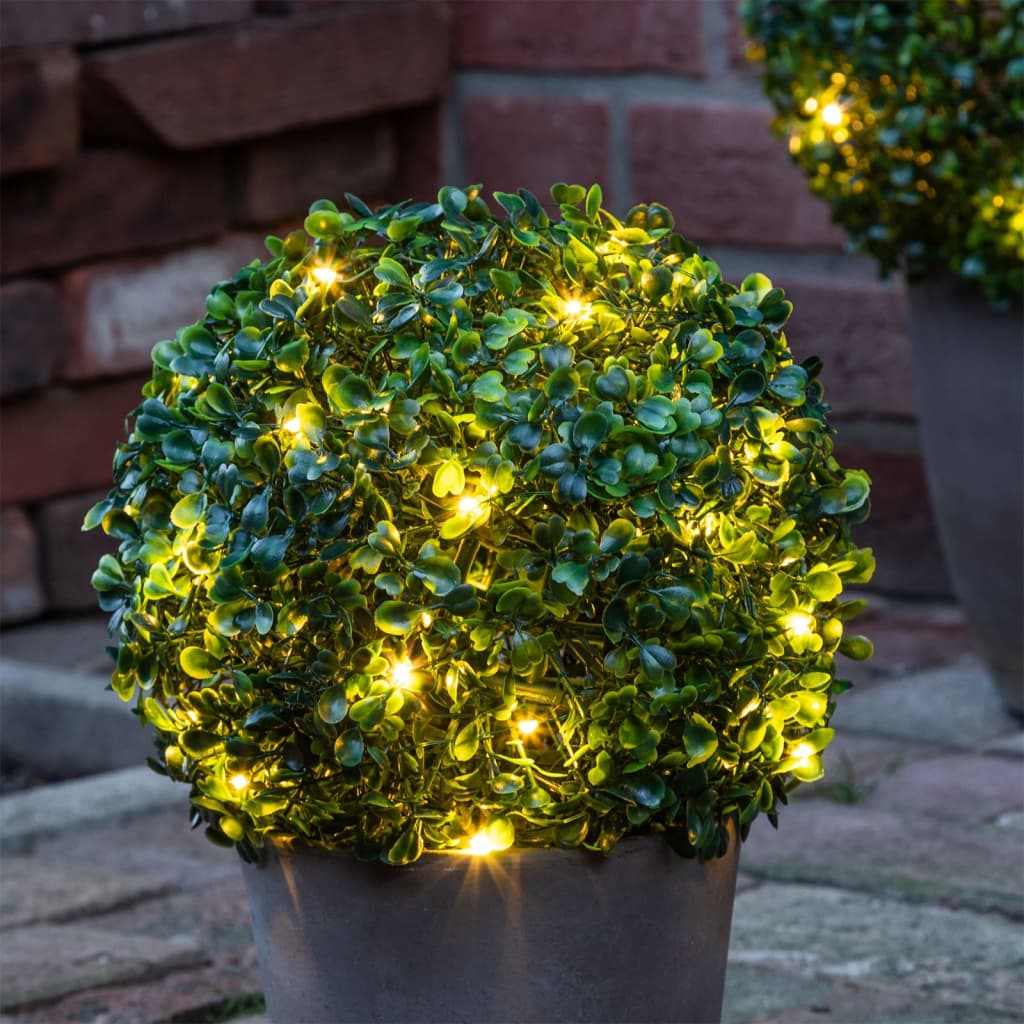 HI Boxwood Minge cimișir cu LED, diametru 25 cm - Lando