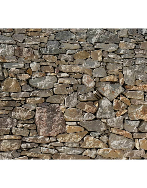 Загрузите изображение в средство просмотра галереи, Komar Fototapet mural Stone Wall, 368 x 254 cm, 8-727 Lando - Lando
