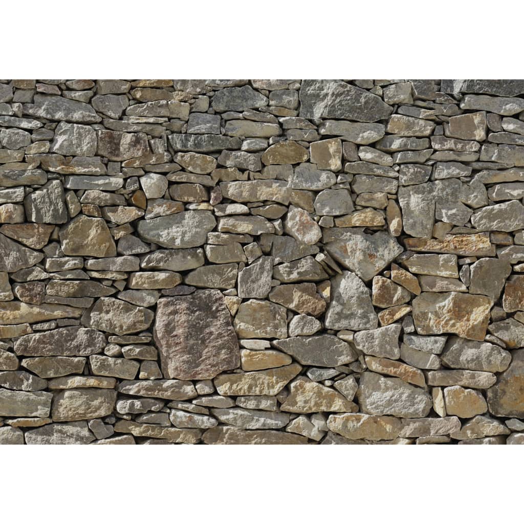 Komar Fototapet mural Stone Wall, 368 x 254 cm, 8-727 Lando - Lando