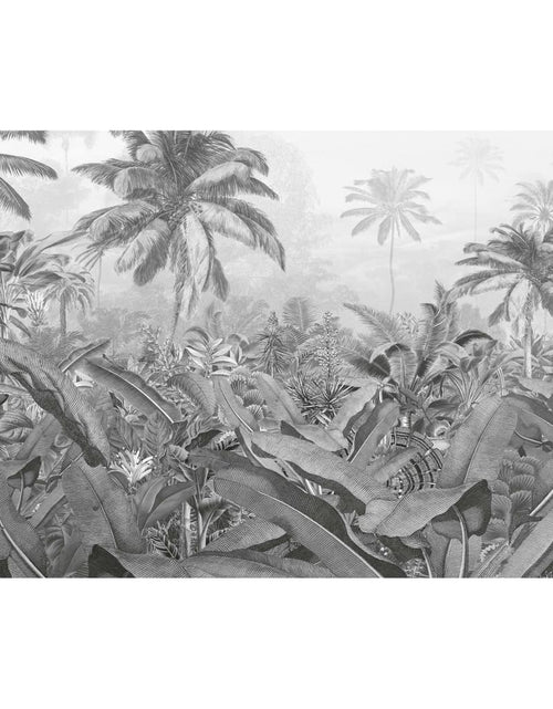 Încărcați imaginea în vizualizatorul Galerie, Komar Fototapet mural Amazonia, alb şi negru, 400x250 cm - Lando
