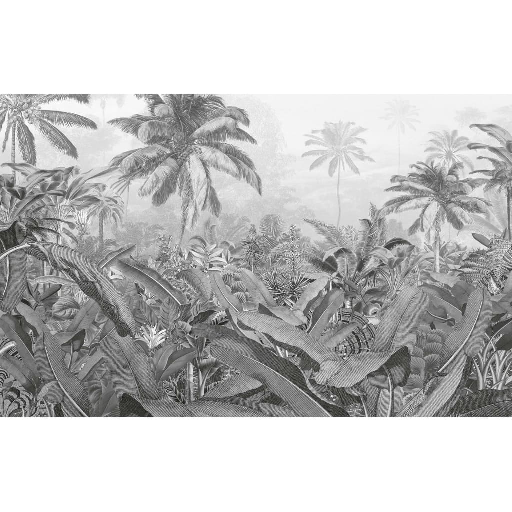 Komar Fototapet mural Amazonia, alb şi negru, 400x250 cm - Lando