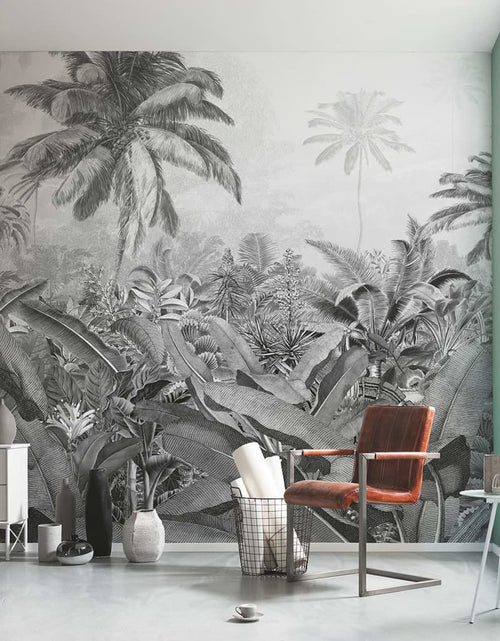 Загрузите изображение в средство просмотра галереи, Komar Fototapet mural Amazonia, alb şi negru, 400x250 cm - Lando
