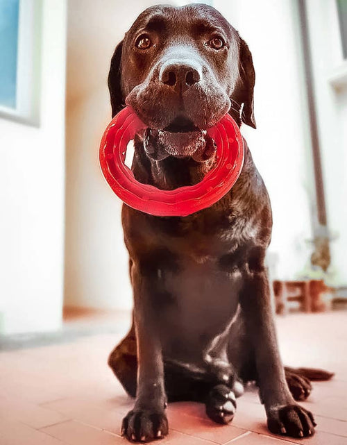 Încărcați imaginea în vizualizatorul Galerie, Ferplast Jucărie dentară pentru câini „Smile”, mare, roșu, 20x18x4 cm - Lando
