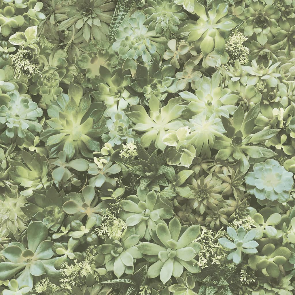 Noordwand Tapet „Evergreen Succulent”, verde și bej Lando - Lando