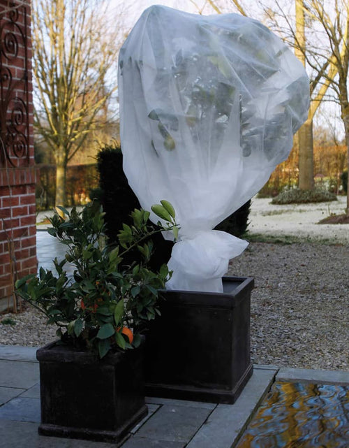 Încărcați imaginea în vizualizatorul Galerie, Nature Husă anti-îngheț din fleece, alb, 2x5 m, 30 g/m² Lando - Lando
