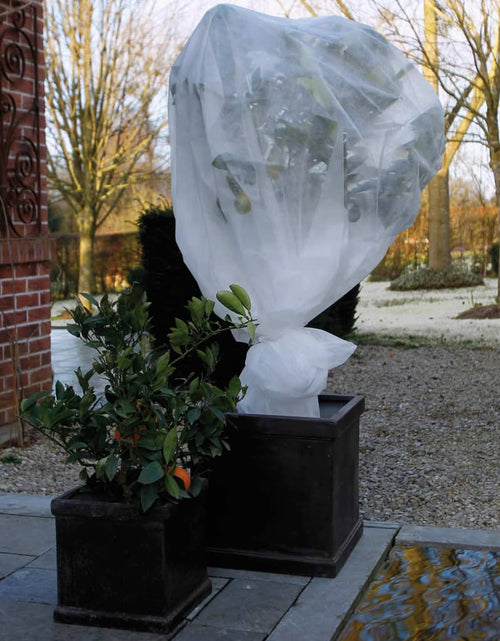 Încărcați imaginea în vizualizatorul Galerie, Nature Husă anti-îngheț din fleece, alb, 1x10 m, 30 g/m² Lando - Lando
