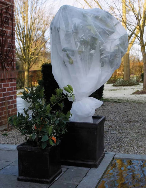 Încărcați imaginea în vizualizatorul Galerie, Nature Husă anti-îngheț din fleece 30 g / m² alb 2x10 m Lando - Lando
