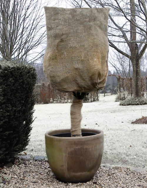 Загрузите изображение в средство просмотра галереи, Nature Husă anti-îngheț, natural, 0,75x1 m, 230 g/m², iută Lando - Lando
