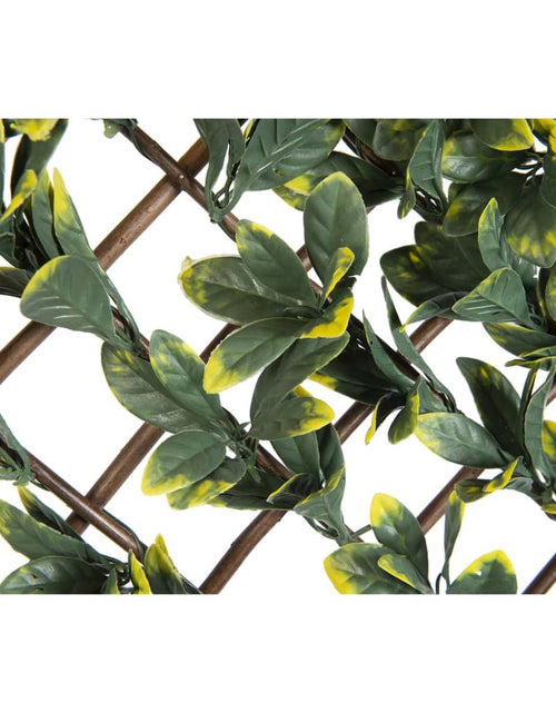 Încărcați imaginea în vizualizatorul Galerie, Nature Spalier de grădină lemn câinesc, 90x180cm, frunze verzi/galbene Lando - Lando
