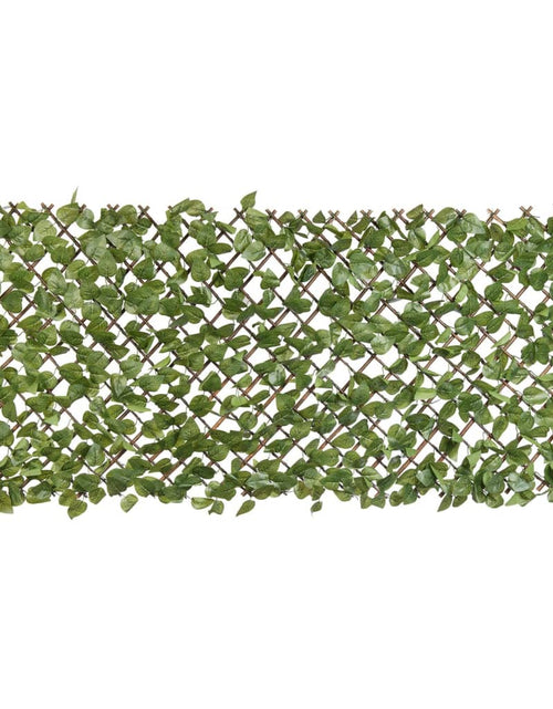 Загрузите изображение в средство просмотра галереи, Nature Spalier de grădină cu palmier laur, 90x180 cm, frunze verzi Lando - Lando
