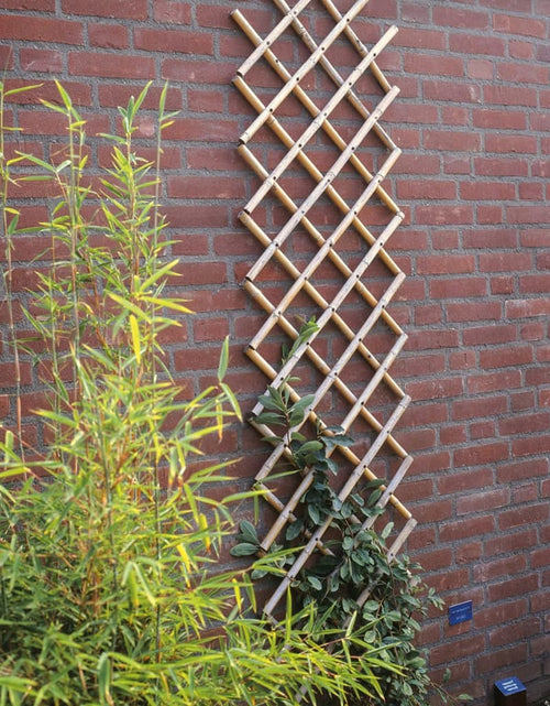 Încărcați imaginea în vizualizatorul Galerie, Nature Spalier de grădină, 45x180 cm Bambus, 6040720 Lando - Lando

