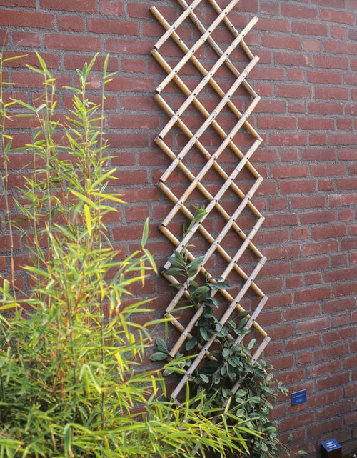 Загрузите изображение в средство просмотра галереи, Nature Spalier de grădină, 70x180 cm, Bambus, 6040721 - Lando
