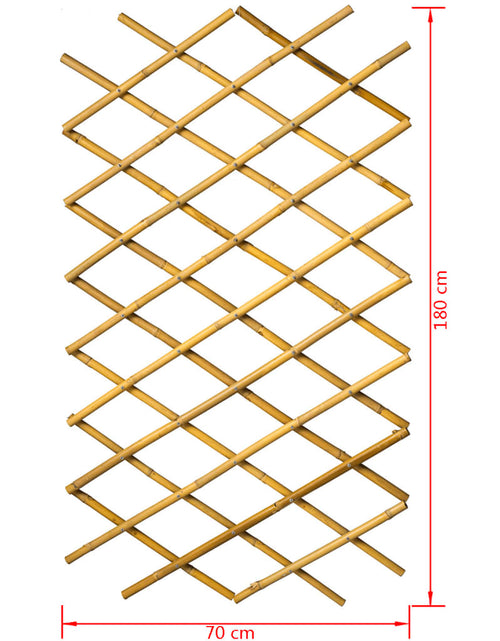 Загрузите изображение в средство просмотра галереи, Nature Spalier de grădină, 70x180 cm, Bambus, 6040721 - Lando
