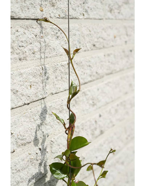 Загрузите изображение в средство просмотра галереи, Nature Set cabluri spalier pentru plante cățărătoare, 6040760 Lando - Lando
