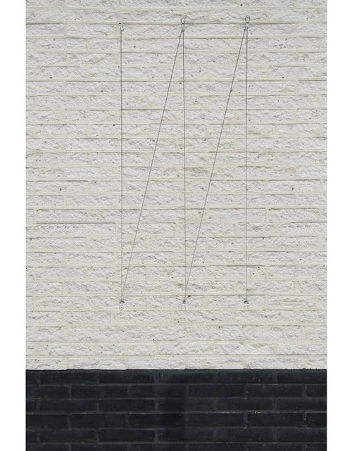 Încărcați imaginea în vizualizatorul Galerie, Nature Set cabluri spalier pentru plante cățărătoare, 6040760 Lando - Lando
