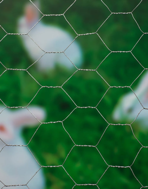 Загрузите изображение в средство просмотра галереи, Nature Plasă din sârmă, 0,5 x 10 m, oțel galvanizat, 25 mm, hexagonal Lando - Lando
