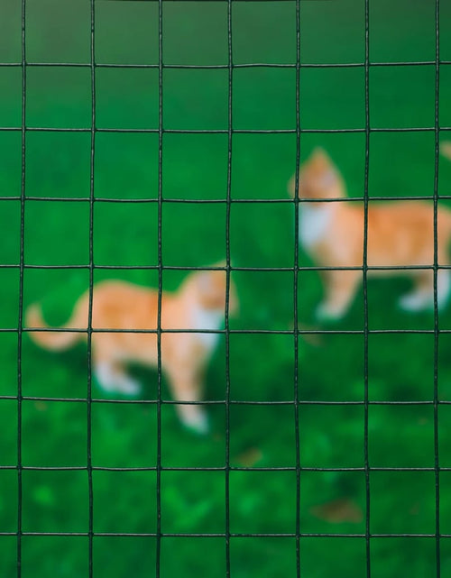 Încărcați imaginea în vizualizatorul Galerie, Nature Plasă din sârmă verde 0,5 x 5 m oțel cu plastic 13 mm pătrat - Lando
