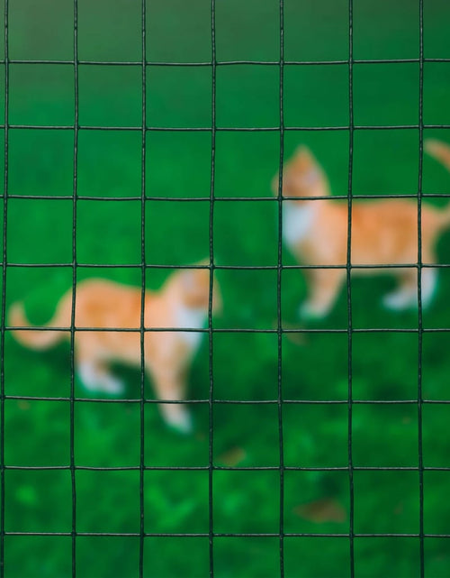Încărcați imaginea în vizualizatorul Galerie, Nature Plasă din sârmă verde 1x2,5 m oțel cu plastic 25 mm pătrat Lando - Lando
