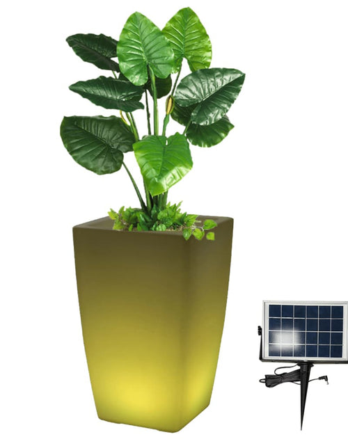 Загрузите изображение в средство просмотра галереи, Eurotrail Lampă reîncărcabilă cu LED / ghiveci cu flori, 50 cm Lando - Lando
