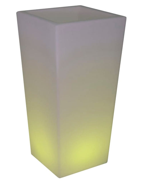 Загрузите изображение в средство просмотра галереи, Eurotrail Lampă reîncărcabilă cu LED / ghiveci cu flori, 80 cm Lando - Lando
