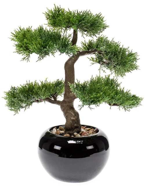 Încărcați imaginea în vizualizatorul Galerie, Emerald Cedru artificial bonsai, verde, 34 cm 420003
