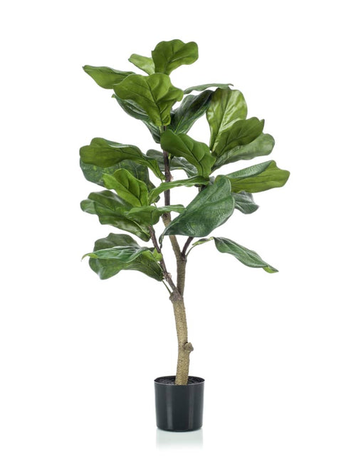 Загрузите изображение в средство просмотра галереи, Emerald Ficus artificial Lyrata 90 cm - Lando
