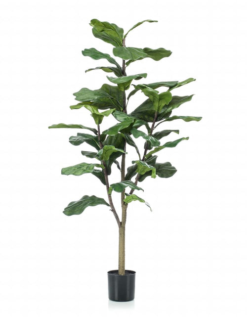 Încărcați imaginea în vizualizatorul Galerie, Emerald Ficus artificial Lyrata 120 cm Lando - Lando
