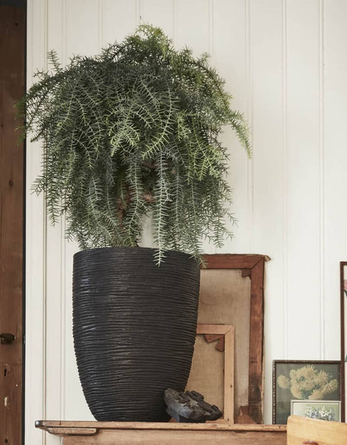 Загрузите изображение в средство просмотра галереи, Capi Vas de plante Nature Rib elegant, negru, 36x47 cm, adânc, KBLR782 - Lando
