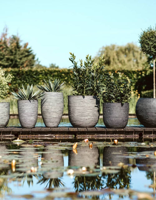 Încărcați imaginea în vizualizatorul Galerie, Capi Vas de plante elegant Nature Rib Deluxe, antracit, 45x72 cm - Lando
