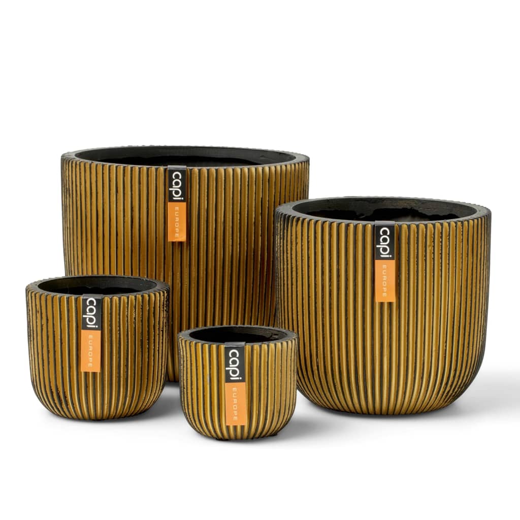 Capi Set de vaze în formă de bol, 4 piese, "Groove", auriu - Lando