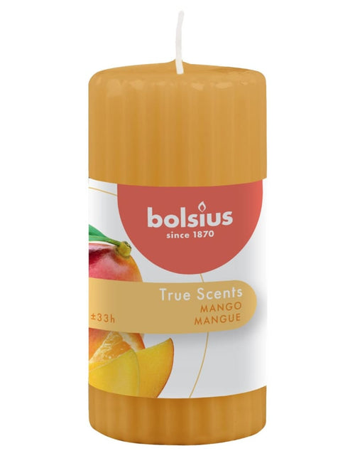 Încărcați imaginea în vizualizatorul Galerie, Bolsius Lumânări parfumate striate, 6 buc., mango, 120 x 58 mm Lando - Lando
