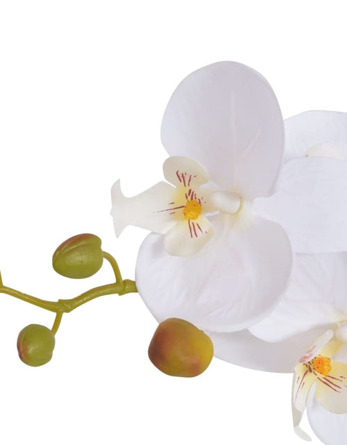 Загрузите изображение в средство просмотра галереи, Plantă artificială orhidee cu ghiveci, 65 cm, alb Lando - Lando

