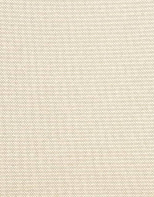 Încărcați imaginea în vizualizatorul Galerie, Pânză de copertină, crem, 450 x 300 cm - Lando
