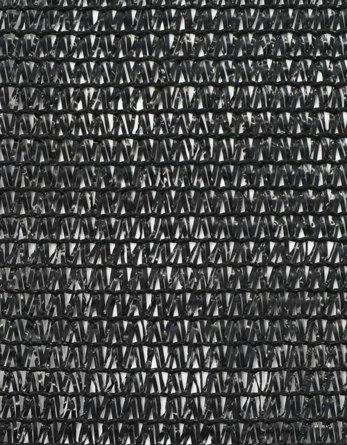 Încărcați imaginea în vizualizatorul Galerie, Plasă teren de tenis, negru, 1x50 m, HDPE Lando - Lando
