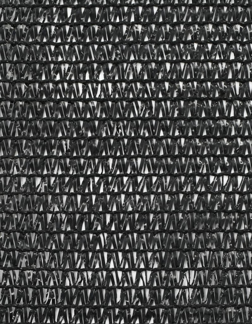 Încărcați imaginea în vizualizatorul Galerie, Plasă teren de tenis, negru, 1,2x100 m, HDPE Lando - Lando

