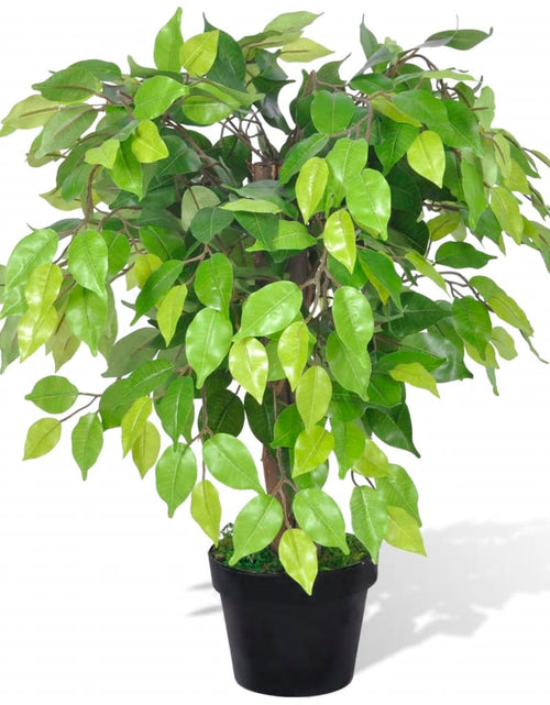 Загрузите изображение в средство просмотра галереи, Ficus pitic artificial cu ghiveci, 60 cm - Lando
