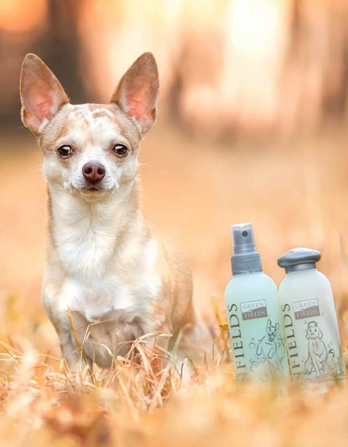 Загрузите изображение в средство просмотра галереи, Greenfields Set șampon și spray pentru câini „Complete Care”, 2x250 ml - Lando
