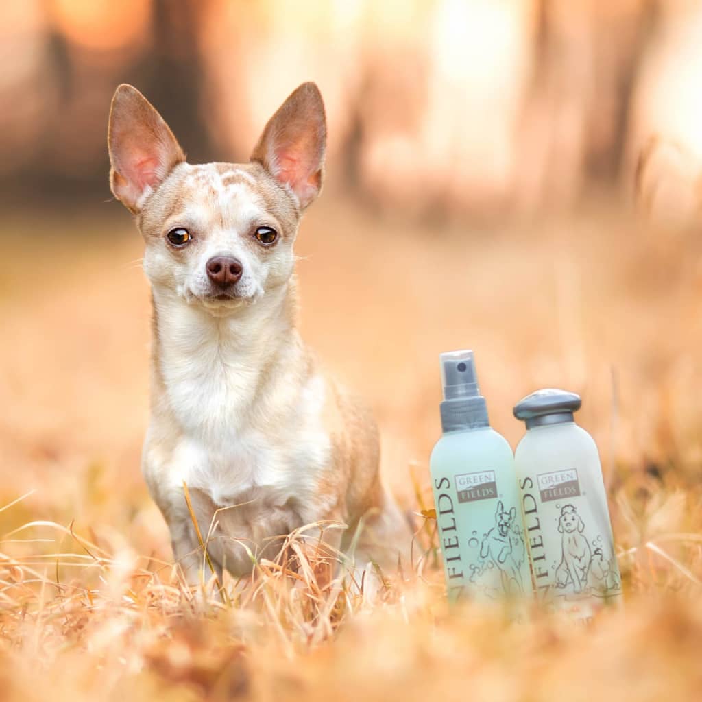 Greenfields Set șampon și spray pentru câini „Complete Care”, 2x250 ml - Lando