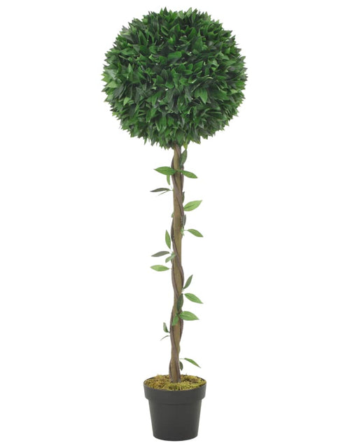 Загрузите изображение в средство просмотра галереи, Plantă artificială dafin cu ghiveci, verde, 130 cm Lando - Lando
