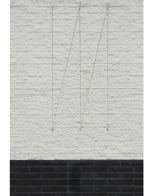 Încărcați imaginea în vizualizatorul Galerie, Nature Set cabluri spalier pentru plante cățărătoare, 2 buc. Lando - Lando
