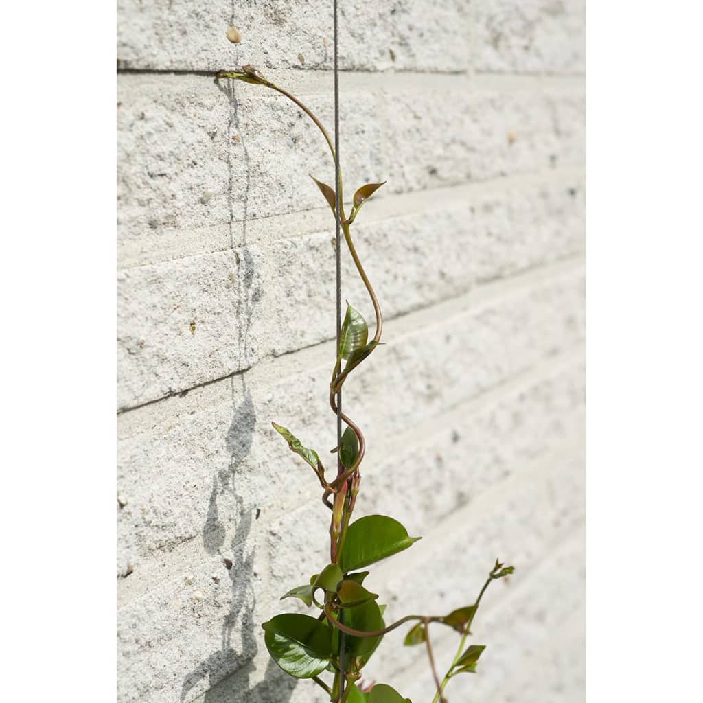 Nature Set cabluri spalier pentru plante cățărătoare, 2 buc. Lando - Lando