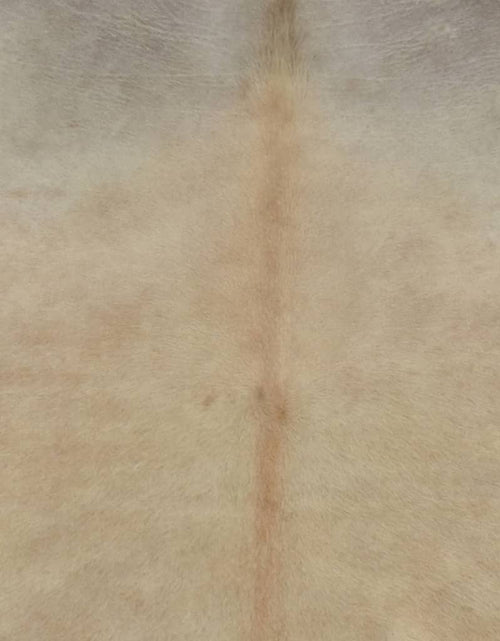 Încărcați imaginea în vizualizatorul Galerie, Covor din piele de vacă naturală, bej, 150 x 170 cm Lando - Lando
