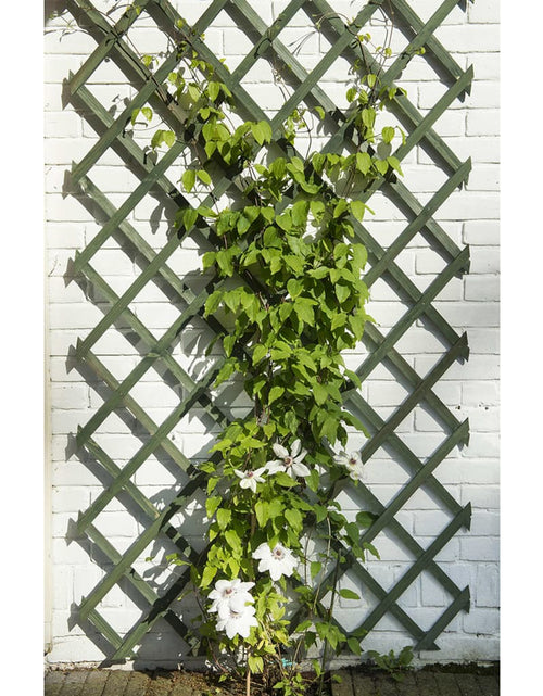 Încărcați imaginea în vizualizatorul Galerie, Nature Spaliere de grădină, 2 buc., verde, 50 x 150 cm, lemn Lando - Lando
