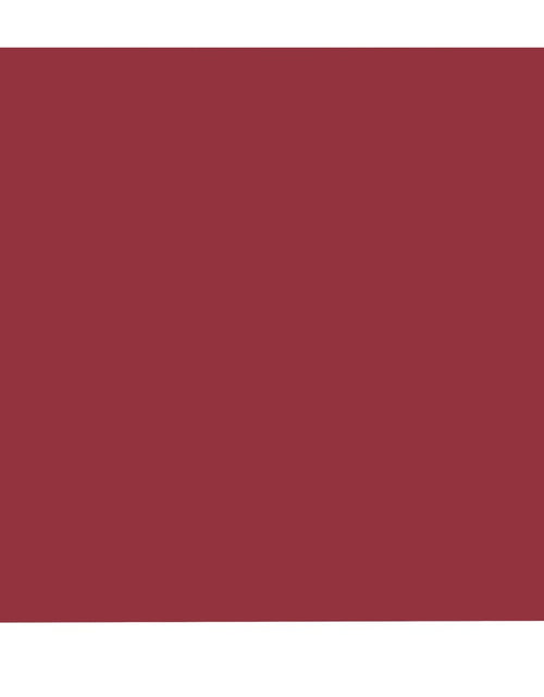 Încărcați imaginea în vizualizatorul Galerie, Copertină laterală retractabilă de terasă, roșu, 160 x 300 cm - Lando
