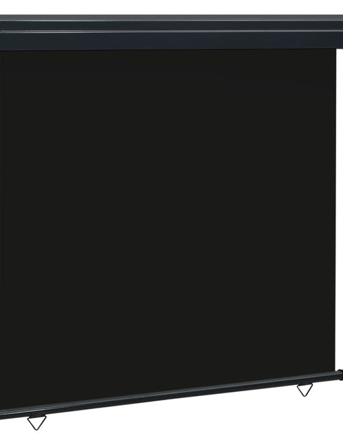 Încărcați imaginea în vizualizatorul Galerie, Copertină laterală de balcon, negru, 160 x 250 cm - Lando
