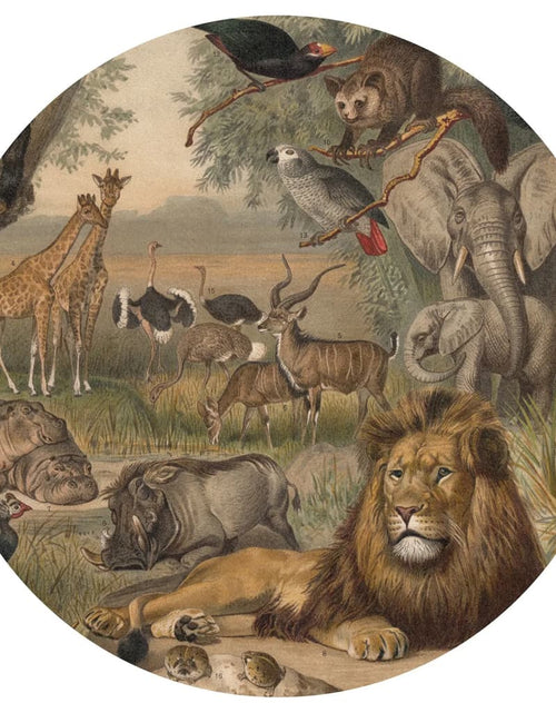 Încărcați imaginea în vizualizatorul Galerie, WallArt Tapet în formă de cerc „Animals of Africa”, 142,5 cm Lando - Lando
