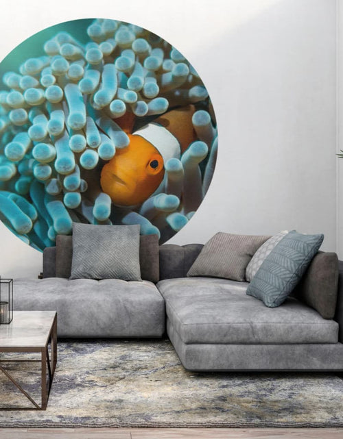 Încărcați imaginea în vizualizatorul Galerie, WallArt Tapet în formă de cerc „Nemo the Anemonefish”, 142,5 cm Lando - Lando
