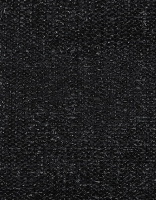 Încărcați imaginea în vizualizatorul Galerie, Covor pentru cort, negru, 250x400 cm Lando - Lando
