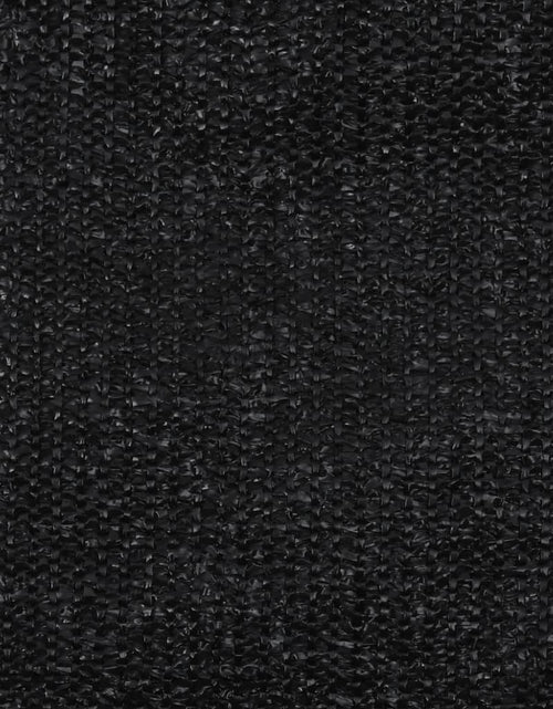 Încărcați imaginea în vizualizatorul Galerie, Covor pentru cort, negru, 300x500 cm Lando - Lando
