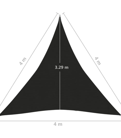 Încărcați imaginea în vizualizatorul Galerie, Lando-Pânză parasolar, negru, 4x4x4 m, HDPE, 160 g/m²- mobila
